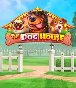 От Pragmatic Play представлен приключении The Dog House, приносящий вам очаровательное путешествие в мире игривых щенков. Откройте для себя игровых элементах включая липкие "вайлды", идеальных для доставления радостных моментов. Идеально подходит для тех, кто любит веселую обстановку с шансом на крупные выигрыши.